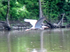IMG 4756